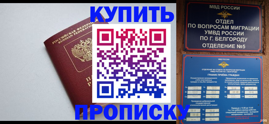 прописка регистрация в Острогожске